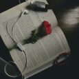 red rose on white ruled paper