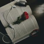 red rose on white ruled paper